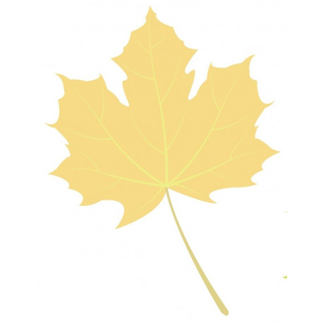 Sticker feuilles arbre orange