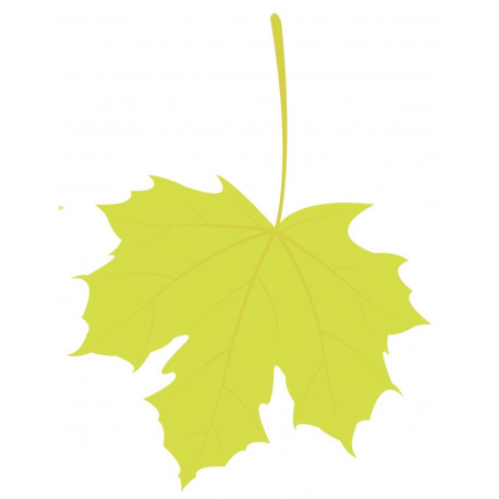 Sticker feuilles arbre orange erable