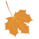 Sticker feuilles arbre vert erable