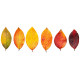 Sticker feuilles arbre marron erable