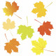 Sticker planche feuilles arbre