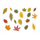 Sticker planche feuilles arbre