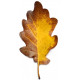 Sticker feuilles arbre marron
