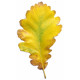 Sticker feuilles arbre marron