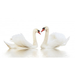 Sticker couple de cygnes