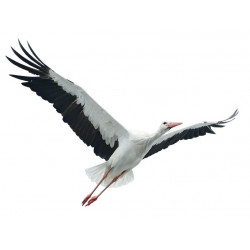 Sticker heron en vol