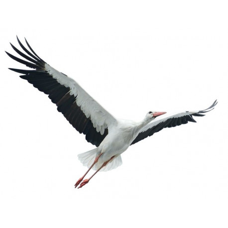 Sticker heron en vol