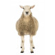 Sticker mouton blanc de face