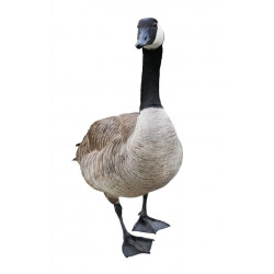 Autocollant oie debout grise