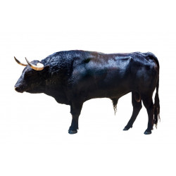 Sticker taureau de coté