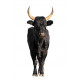 Sticker taureau vachette