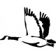 Sticker canard vol