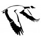 Sticker canard vol