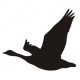 Sticker oiseau vol silhouette