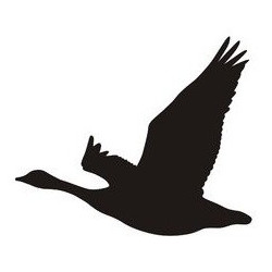 Sticker oiseau vol silhouette