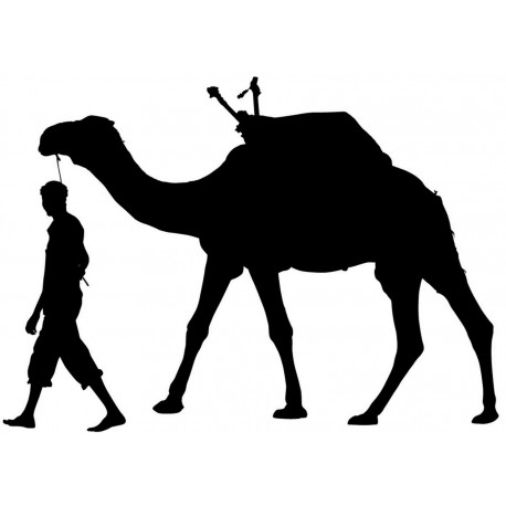 Sticker dromadaire