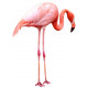 Sticker flamant rose