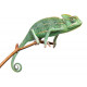 Sticker Caméléon sur branche