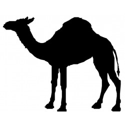 Sticker Tête de lama