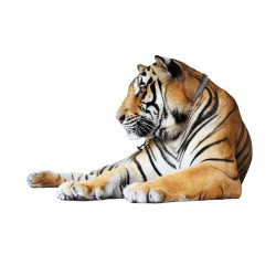 Sticker tigre dort