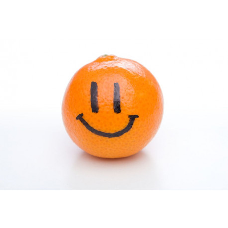 Sticker Orange rigolos