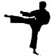 Sticker Judo