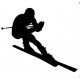 Sticker skieur