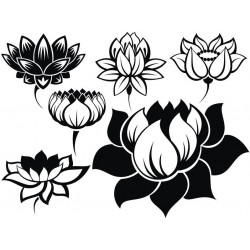 Sticker fleurs de lotus