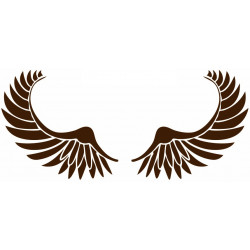 Sticker muraux Ailes d'ange geant