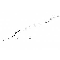 Sticker nuée d'oiseaux