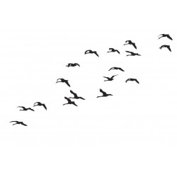 Sticker nuée d'oiseaux grue