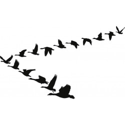 Sticker nuée d'oiseaux oies