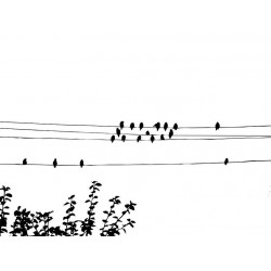 Sticker hirondelles sur fil électrique