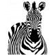 Sticker zèbre