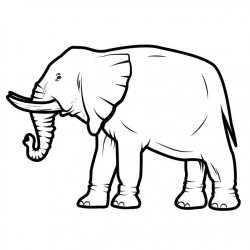 Sticker éléphant géant