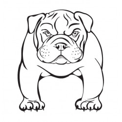 Sticker bulldog français