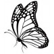 Sticker papillon