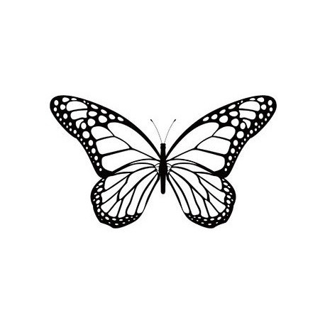 Sticker papillon s'envole
