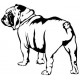 Sticker chien 03