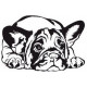 Sticker bulldog français 06