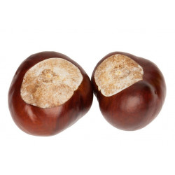 Sticker Chataigne double