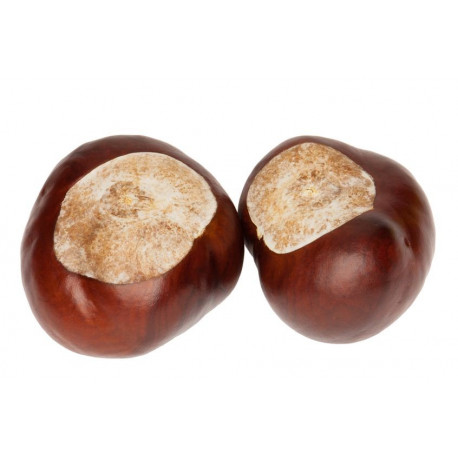 Sticker Chataigne double