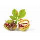 Sticker Chataigne feuille