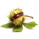 Sticker Chataigne marron