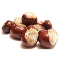 Sticker Chataigne avec feuilles