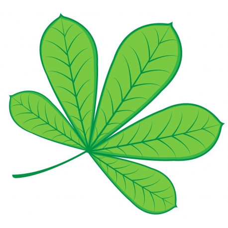 Sticker feuille automne