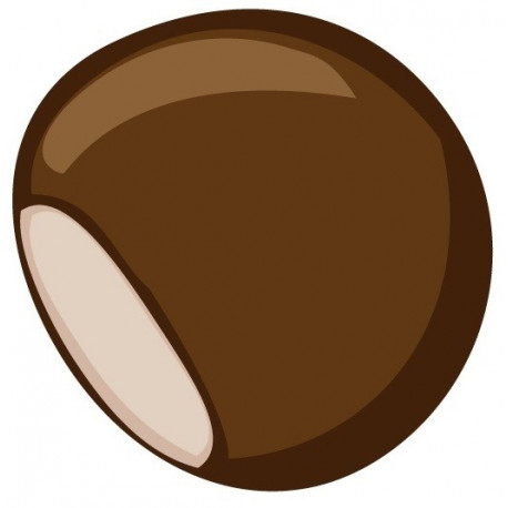 Sticker marron chataigne