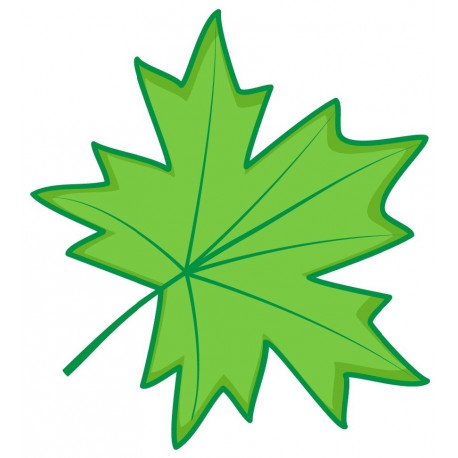 Sticker chataigne feuille rouge