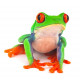 Sticker grenouille