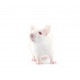 Sticker souris blanche